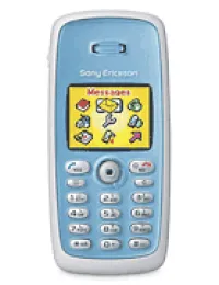 T300