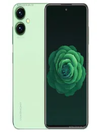 Z60