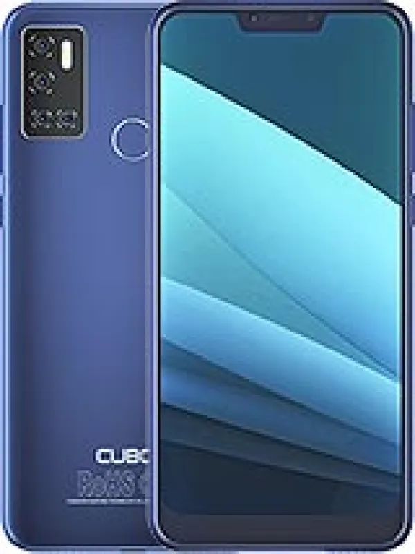 C20