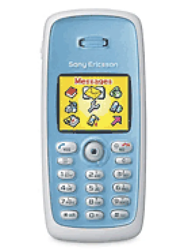 T300