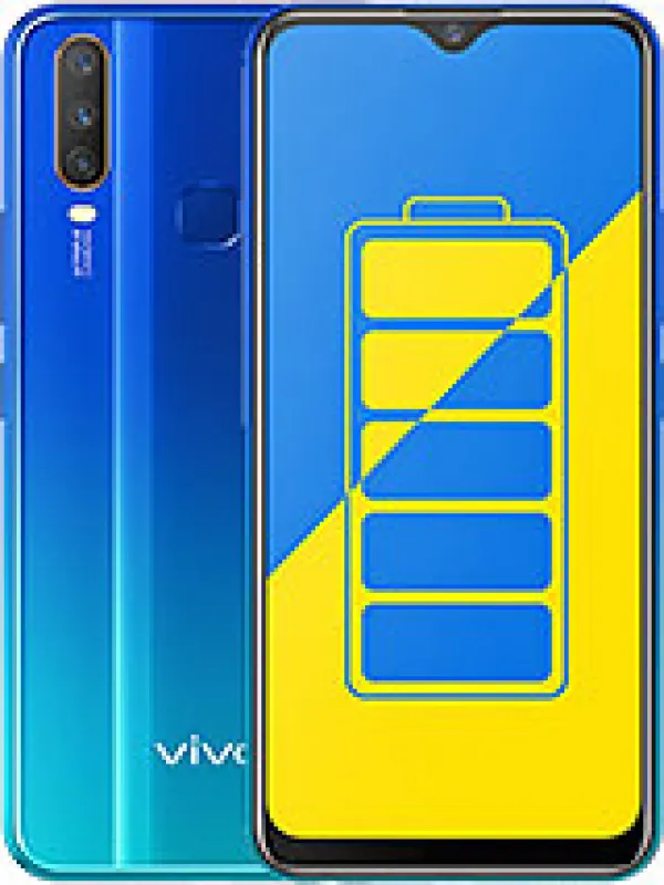 vivo 