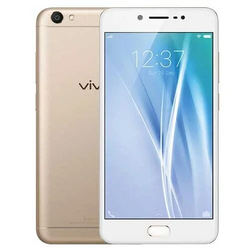 Y55S